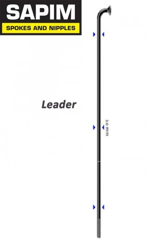 Sapim Rayo Leader negro